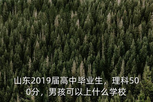 山東2019屆高中畢業生，理科500分，男孩可以上什么學校