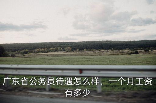 廣東公務員副處工資多少,廣東省公務員待遇怎么樣