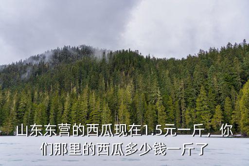 山東濟寧泗水多少西瓜多少錢,你們那里的西瓜多少錢一斤了