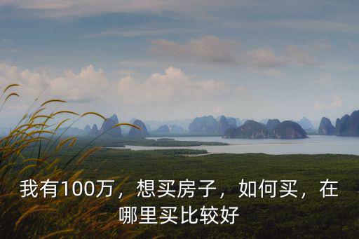 湛江100萬的房哪里好,在哪里買比較好