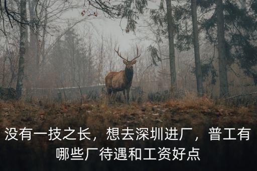 沒有一技之長，想去深圳進廠，普工有哪些廠待遇和工資好點