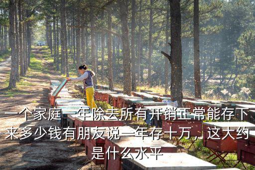 深圳家庭一年存多少錢啊,有朋友說一年存十萬