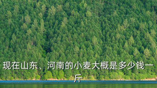 濟南的小麥多少錢一斤,河南的小麥大概是多少錢一斤