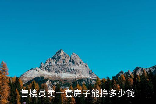 售樓員賣一套房子能掙多少錢