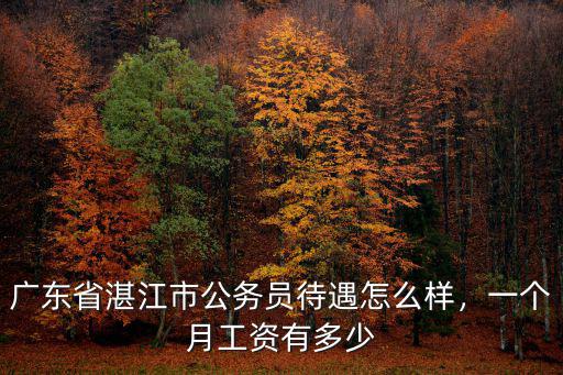 廣東省湛江市公務員待遇怎么樣，一個月工資有多少