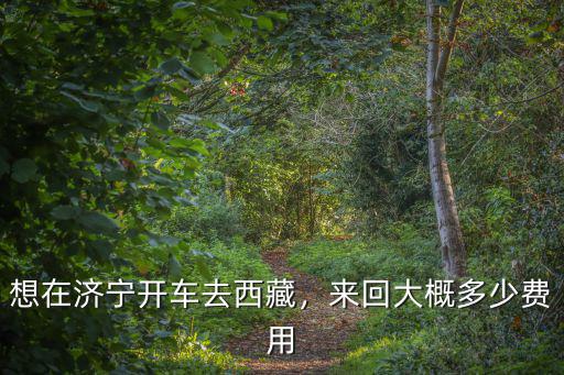 想在濟寧開車去西藏，來回大概多少費用