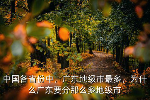 中國各省份中，廣東地級市最多，為什么廣東要分那么多地級市
