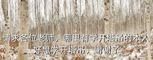 請求各位老師，哪里有學開塔吊的本人好想學開塔吊，謝謝了