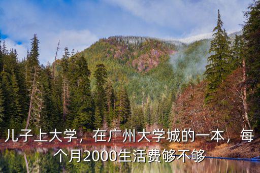 廣州大學(xué)城賣水果怎么樣,在廣州大學(xué)城的一本