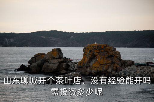 山東茶葉店電話號碼多少錢,需投資多少呢