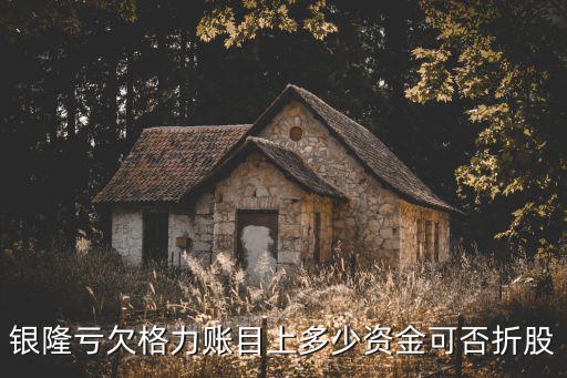 銀隆虧欠格力賬目上多少資金可否折股