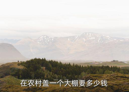 濟(jì)南溫室大棚建個(gè)多少錢,在農(nóng)村蓋一個(gè)大棚要多少錢