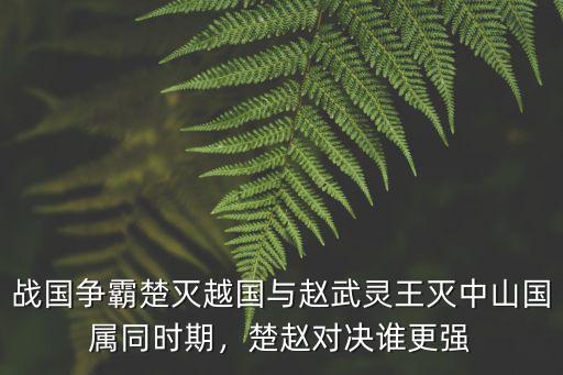 戰國爭霸楚滅越國與趙武靈王滅中山國屬同時期，楚趙對決誰更強