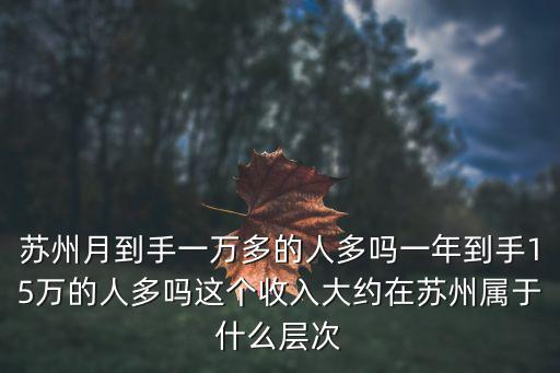 在南京一年15萬稅后到手多少錢,在南京處于什么水平