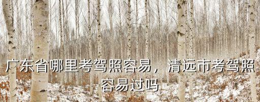 廣東省哪里考駕照容易，清遠市考駕照容易過嗎