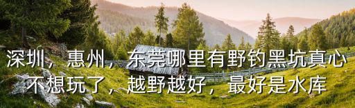 深圳，惠州，東莞哪里有野釣黑坑真心不想玩了，越野越好，最好是水庫