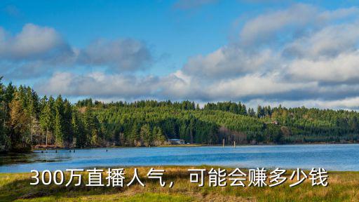 蘇州主播賺多少錢,抖音直播能賺多少錢