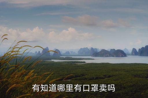 湛江市哪里有口罩賣或發(fā)放,有知道哪里有口罩賣嗎