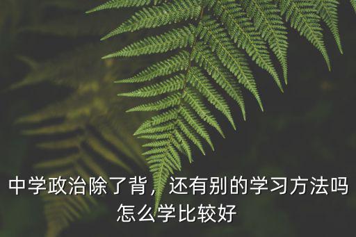 中學(xué)政治除了背，還有別的學(xué)習(xí)方法嗎怎么學(xué)比較好