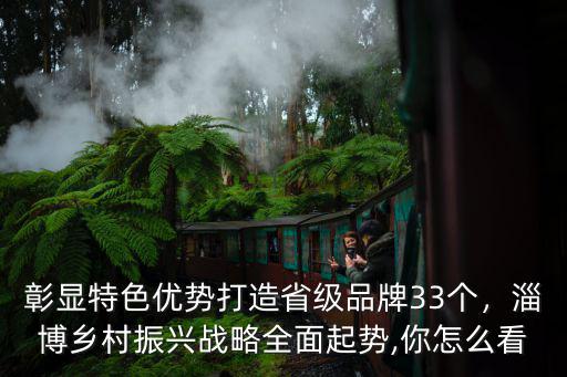 淄博多少個鄉村,淄博鄉村振興戰略全面起勢