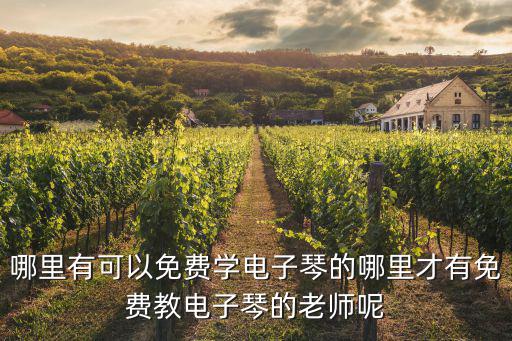 哪里有可以免費學電子琴的哪里才有免費教電子琴的老師呢
