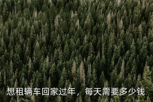 想租輛車回家過年，每天需要多少錢