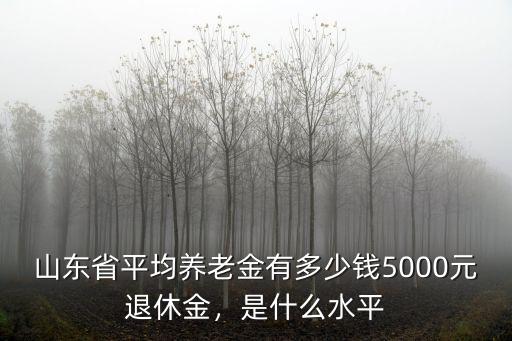 臨沂社會平均工資是多少錢,山東省社會平均工資公布