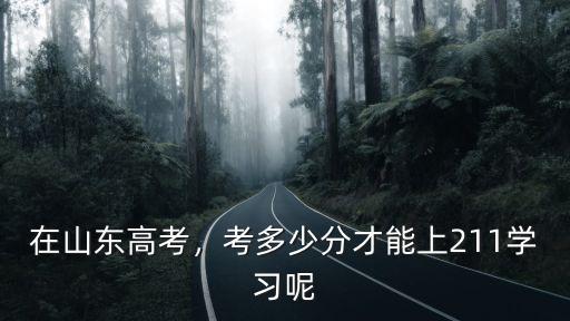 在山東高考，考多少分才能上211學(xué)習(xí)呢
