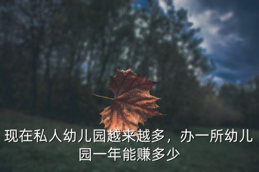 現在私人幼兒園越來越多，辦一所幼兒園一年能賺多少