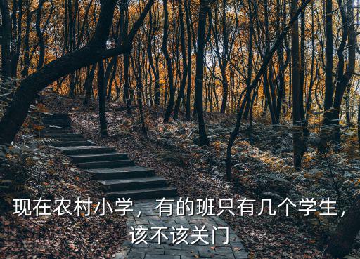 現在農村小學，有的班只有幾個學生，該不該關門