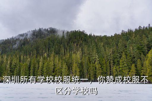 深圳校服怎么火了,深圳所有學(xué)校校服統(tǒng)一