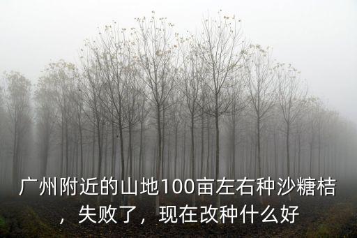 廣州附近的山地100畝左右種沙糖桔，失敗了，現(xiàn)在改種什么好