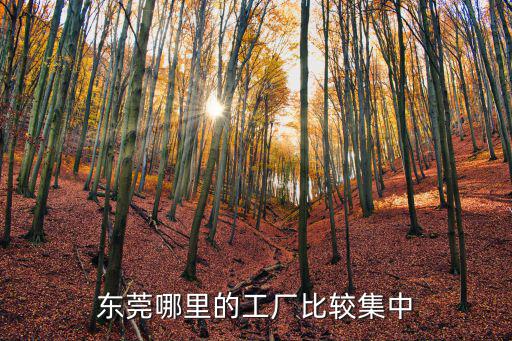 鐵三角東莞工廠在哪里,東莞哪里的工廠比較集中