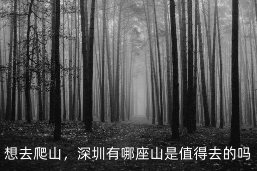 深圳龍崗爬山去哪里,深圳有哪座山是值得去的嗎