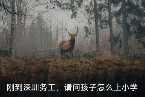 剛到深圳務工，請問孩子怎么上小學