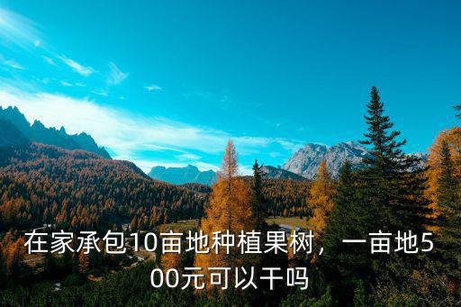 臨沂承包土地種樹一畝多少錢,你們那里承包地多少錢一畝