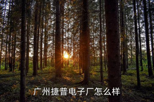 廣州華美電子廠怎么樣,廣州捷普電子廠怎么樣