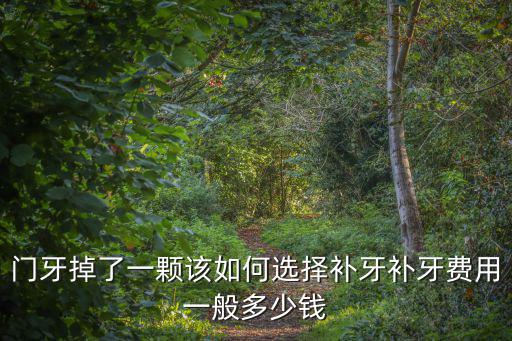 門牙掉了一顆該如何選擇補牙補牙費用一般多少錢