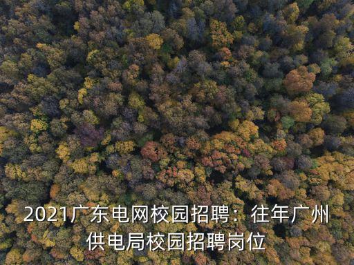 廣州電工哪里招聘,2021廣東電網校園招聘