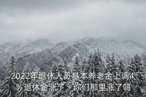 山東安丘企業(yè)養(yǎng)老金漲了多少,河北養(yǎng)老金漲了