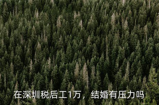 深圳月薪1萬稅后有多少,在深圳稅后工1萬
