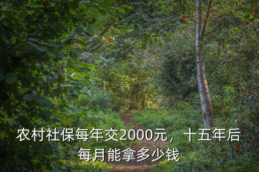 農村社保一年交2000能領多少山東,十五年后每月能拿多少錢