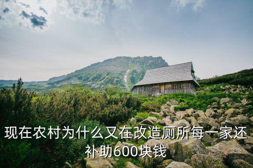 山東農村改造廁所補貼多少錢,你們那里的農改廁補貼是多少