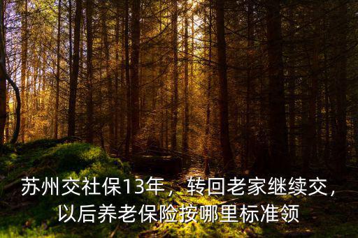 退休蘇州的養老保險要交多少年,以后養老保險按哪里標準領