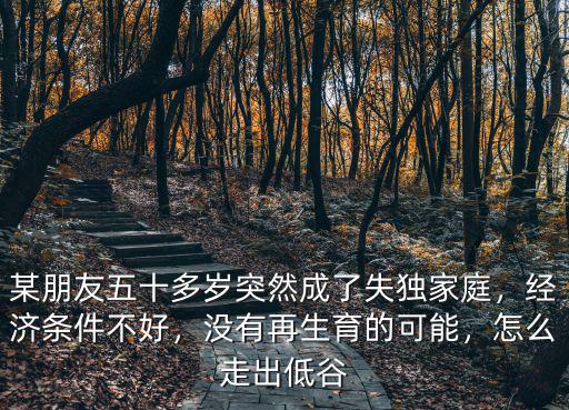 某朋友五十多歲突然成了失獨家庭，經(jīng)濟條件不好，沒有再生育的可能，怎么走出低谷