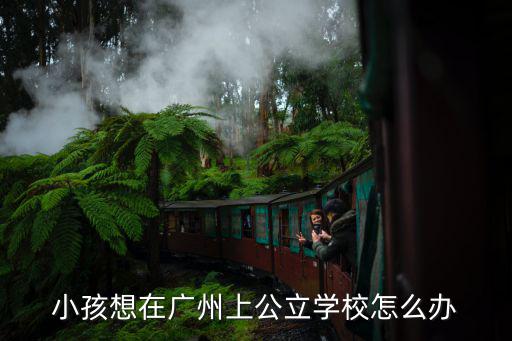 廣州公立學校怎么申請,如何從私立學校轉到公立學校