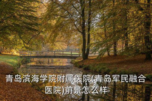 青島市黃島區軍民融合一年多少錢,青島市黃島區的房價能降嗎