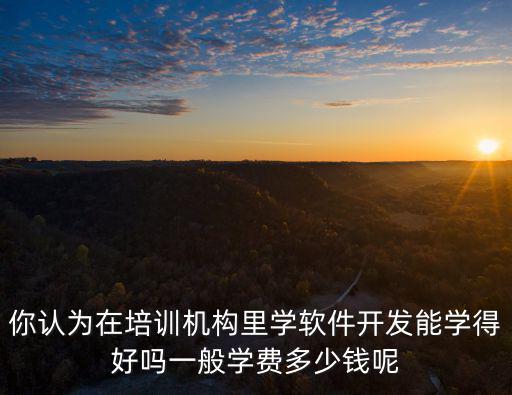 你認(rèn)為在培訓(xùn)機(jī)構(gòu)里學(xué)軟件開發(fā)能學(xué)得好嗎一般學(xué)費(fèi)多少錢呢