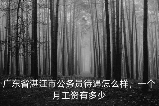 廣東省地稅公務員工資多少,廣東省公務員待遇怎么樣