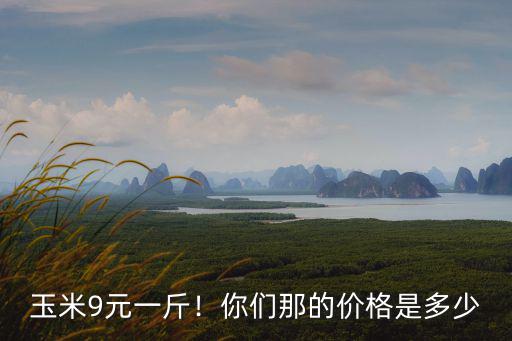 玉米9元一斤！你們那的價(jià)格是多少